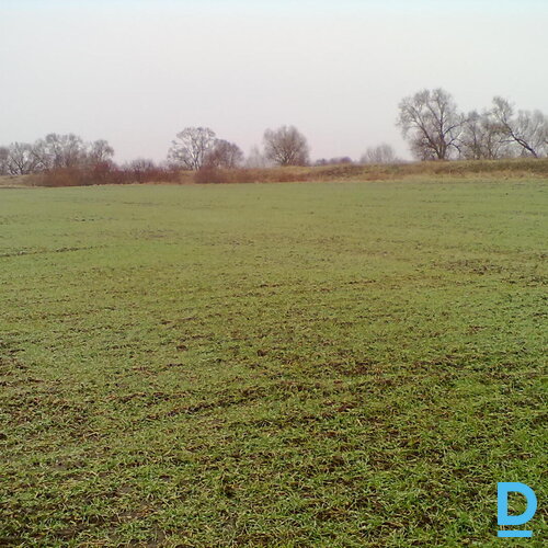 ZGabali uz nomu Rēzeknes novadā pie Rikavas pagasta, ~462 ha ZGabali uz nomu Rēzeknes novadā pie Rikavas pagasta, ~462 ha