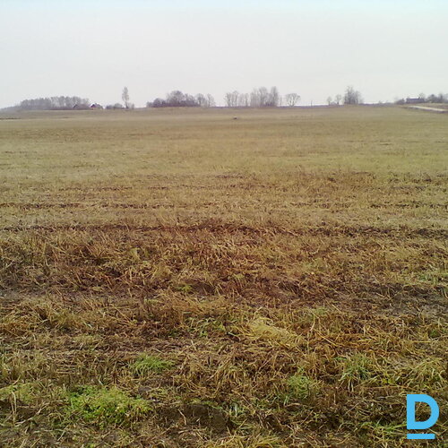 ZGabali uz nomu Rēzeknes novadā pie Rikavas pagasta, ~462 ha