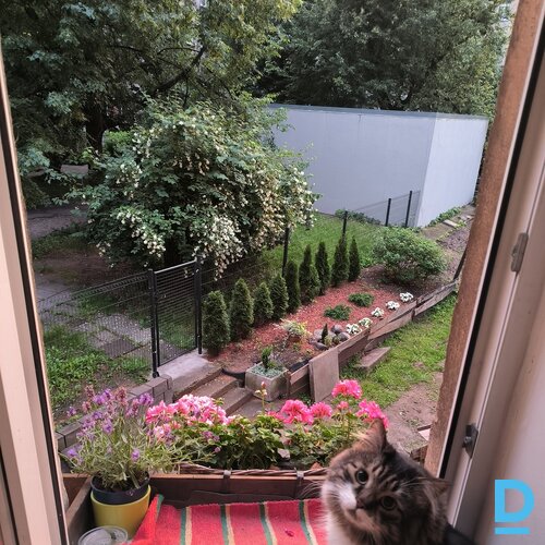 dziviklu  4 ist 94 m2