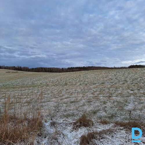 ZGabali uz nomu Madonas novada Sausnējas pagastā (~245 ha)