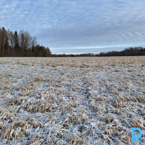 ZGabali uz nomu Madonas novada Sausnējas pagastā (~245 ha)