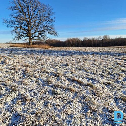 ZGabali uz nomu Madonas novada Sausnējas pagastā (~245 ha)
