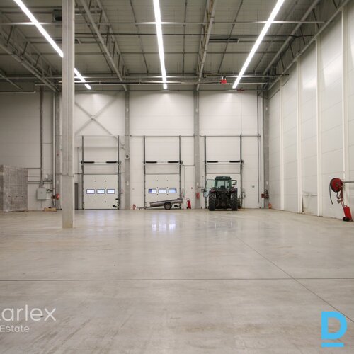 Dominante Parks Dominante Parks