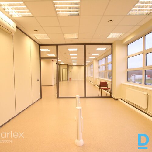 Dominante Parks Dominante Parks