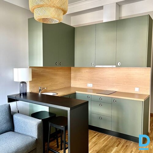 Izīrē dzīvokli Barona iela 14 Izīrē dzīvokli Barona iela 14