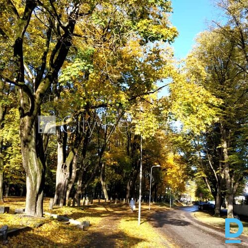 Izīrē dzīvokli Rīgā Izīrē dzīvokli Rīgā