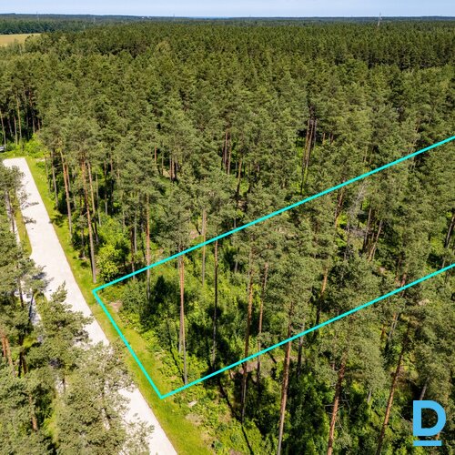 Ziemassvētku un jaunā gada cena! 44 eur/kvm!Priežu meža ieskauts zemes gabals pr Ziemassvētku un jaunā gada cena! 44 eur/kvm!Priežu meža ieskauts zemes gabals pr