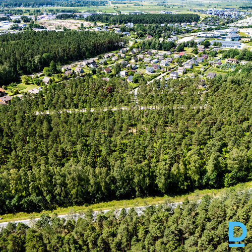 Ziemassvētku un jaunā gada cena! 44 eur/kvm!Priežu meža ieskauts zemes gabals pr Ziemassvētku un jaunā gada cena! 44 eur/kvm!Priežu meža ieskauts zemes gabals pr