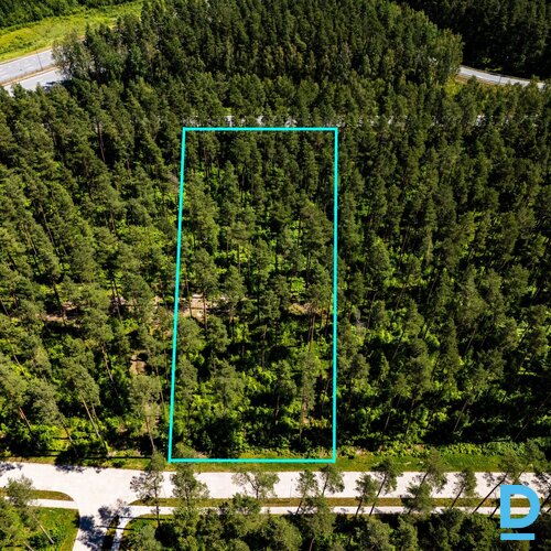 Ziemassvētku un jaunā gada cena! 44 eur/kvm!Priežu meža ieskauts zemes gabals pr Ziemassvētku un jaunā gada cena! 44 eur/kvm!Priežu meža ieskauts zemes gabals pr