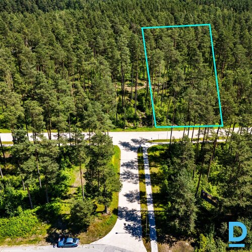 Ziemassvētku un jaunā gada cena! 44 eur/kvm!Priežu meža ieskauts zemes gabals pr Ziemassvētku un jaunā gada cena! 44 eur/kvm!Priežu meža ieskauts zemes gabals pr