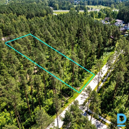 Ziemassvētku un jaunā gada cena! 44 eur/kvm!Priežu meža ieskauts zemes gabals pr