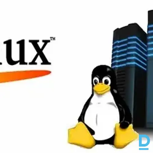 Datorsistēmu un datortīklu administrators meklē darbu