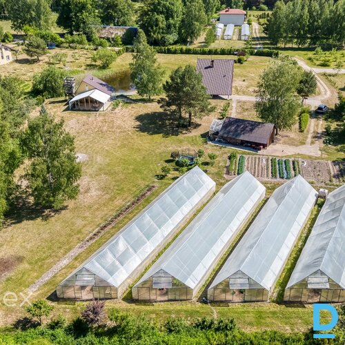 Pārdošanā lauku māja ar vīnogu biznesu.