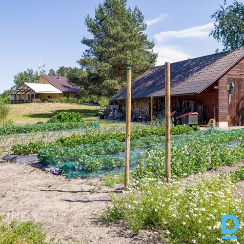 Pārdošanā lauku māja ar vīnogu biznesu.