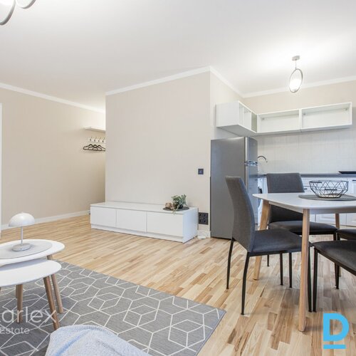 Mūsdienīgs vienistabas dzīvoklis Mūsdienīgs vienistabas dzīvoklis