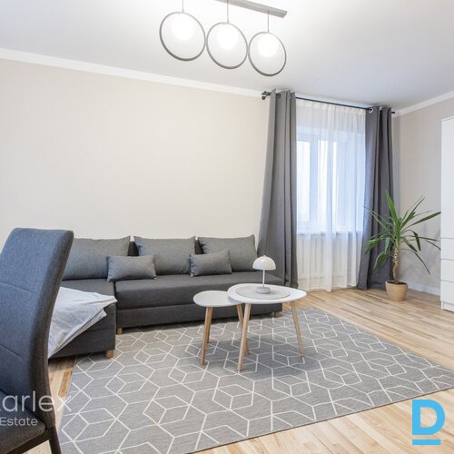 Mūsdienīgs vienistabas dzīvoklis Mūsdienīgs vienistabas dzīvoklis