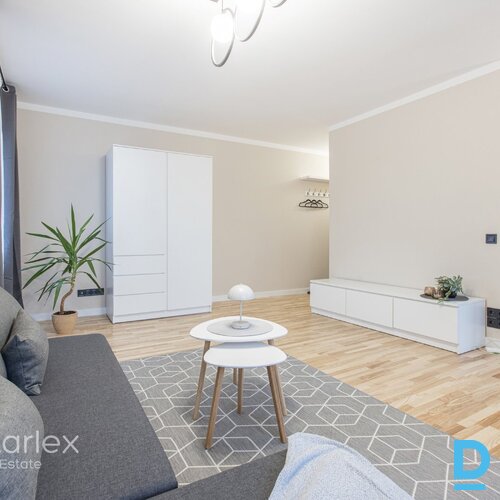 Mūsdienīgs vienistabas dzīvoklis Mūsdienīgs vienistabas dzīvoklis