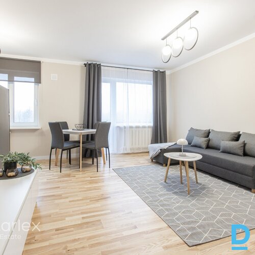 Mūsdienīgs vienistabas dzīvoklis