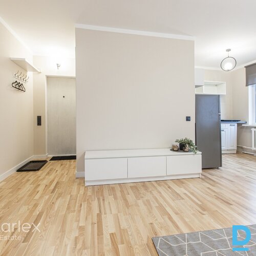 Mūsdienīgs vienistabas dzīvoklis Mūsdienīgs vienistabas dzīvoklis