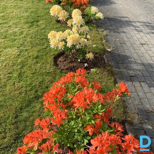 Īres māja Jūrmalā