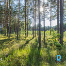 Продаётся красивый и ухоженный участок земли площадью 3465 м² для частного строи