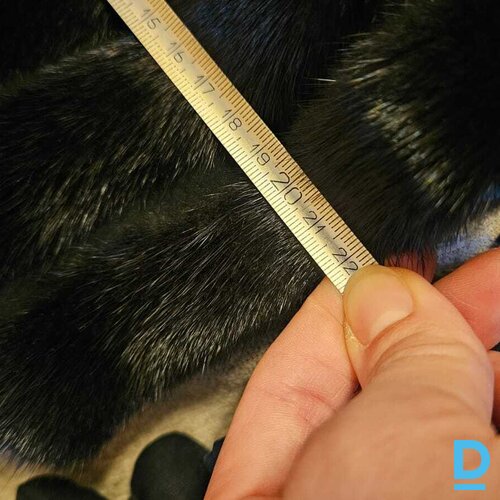 Pārdod winjevel Ūdeļādas kažoks