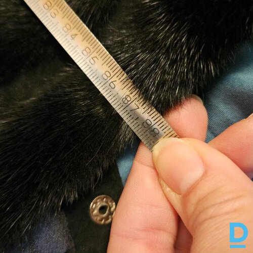 Pārdod winjevel Ūdeļādas kažoks