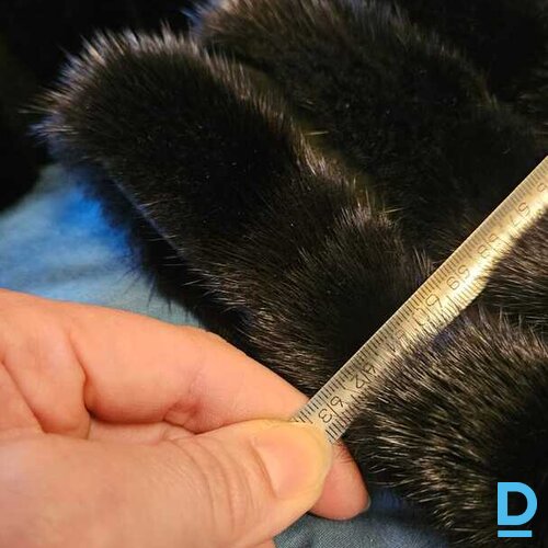 Pārdod winjevel Ūdeļādas kažoks