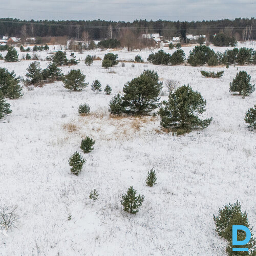 Pārdod zemesgabalu pie Babītes ezera – “Dižmētras”, Silmalas, Mārupes novadsPied Pārdod zemesgabalu pie Babītes ezera – “Dižmētras”, Silmalas, Mārupes novadsPied