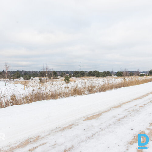 Pārdod zemesgabalu pie Babītes ezera – “Dižmētras”, Silmalas, Mārupes novadsPied Pārdod zemesgabalu pie Babītes ezera – “Dižmētras”, Silmalas, Mārupes novadsPied