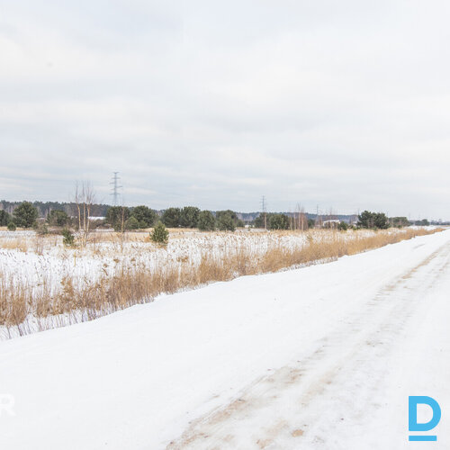 Pārdod zemesgabalu pie Babītes ezera – “Dižmētras”, Silmalas, Mārupes novadsPied Pārdod zemesgabalu pie Babītes ezera – “Dižmētras”, Silmalas, Mārupes novadsPied