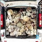 Piedāvā Paklāju tīrīšanu