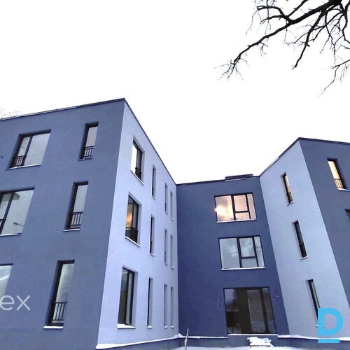 Jaunais projekts Zaķusalā!