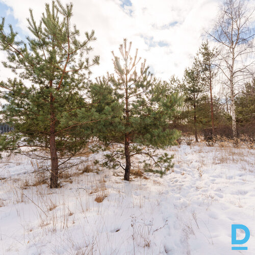 Pārdošanā 2200 m² zemes gabals privātai apbūvei Mērsragā.Zeme atrodas savrupmāju