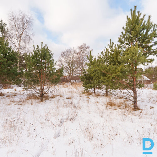 Pārdošanā 2200 m² zemes gabals privātai apbūvei Mērsragā.Zeme atrodas savrupmāju