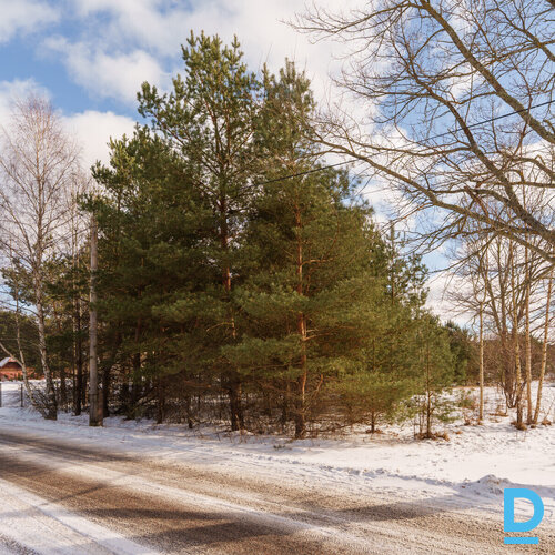 Pārdošanā 2200 m² zemes gabals privātai apbūvei Mērsragā.Zeme atrodas savrupmāju
