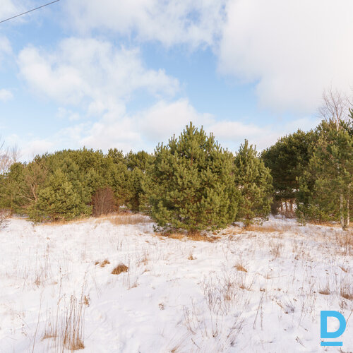 Pārdošanā 2200 m² zemes gabals privātai apbūvei Mērsragā.Zeme atrodas savrupmāju