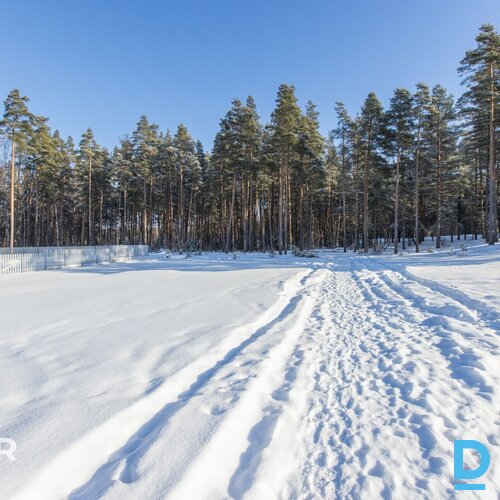 Pārdošanā 2604 m² zeme privātai apbūvei mierpilnā vietā pie meža.Zeme atrodas sa