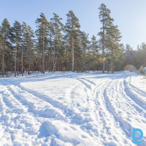 Pārdošanā 2604 m² zeme privātai apbūvei mierpilnā vietā pie meža.Zeme atrodas sa