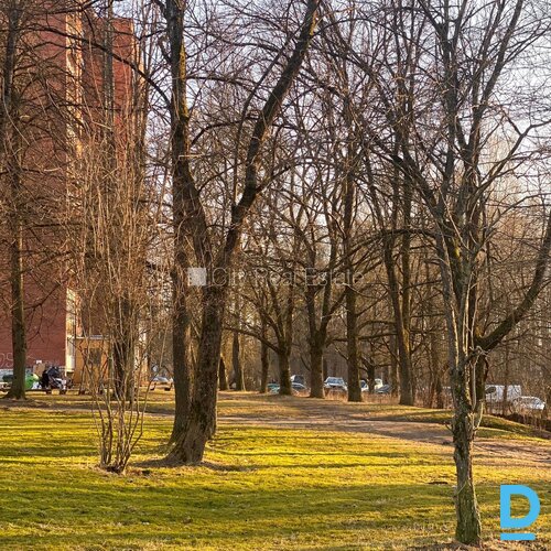 Izīrē dzīvokli Rīgā