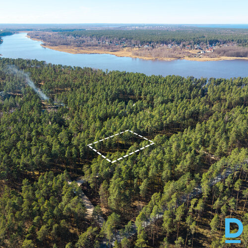 Pārdod zemi Priedolu ceļš 4