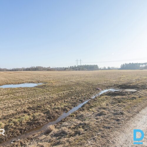 Pārdošanā 4.6 ha zemes gabals 4 minūšu braucienā no Ciemupes.Nekustamais īpašums