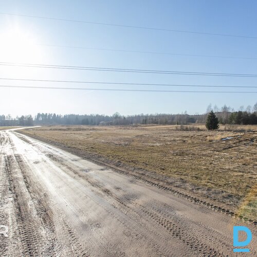 Pārdošanā 4.6 ha zemes gabals 4 minūšu braucienā no Ciemupes.Nekustamais īpašums