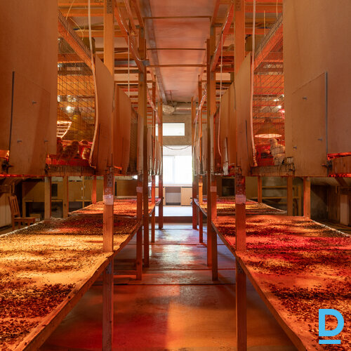 Pārdod māju Ziedkalnu iela 12