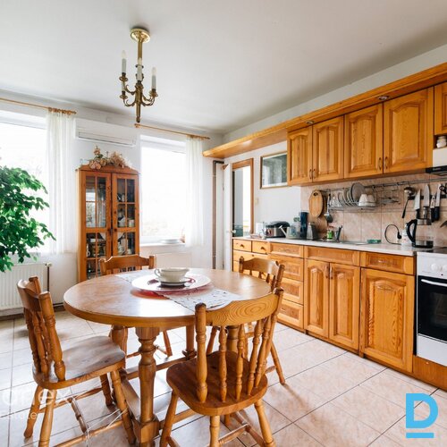 Jūras gaiss, pilsētas dzīve