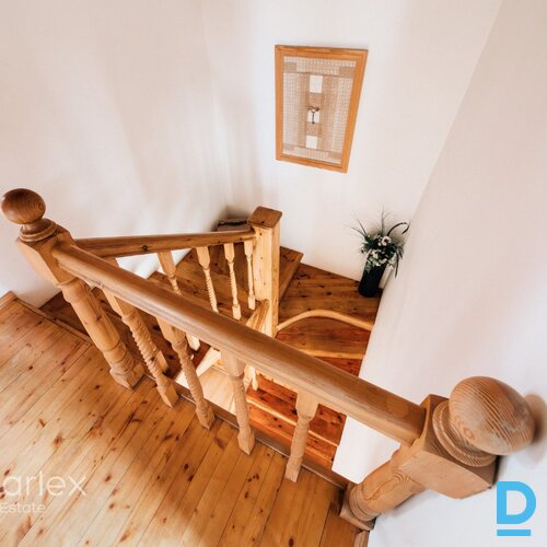 Jūras gaiss, pilsētas dzīve