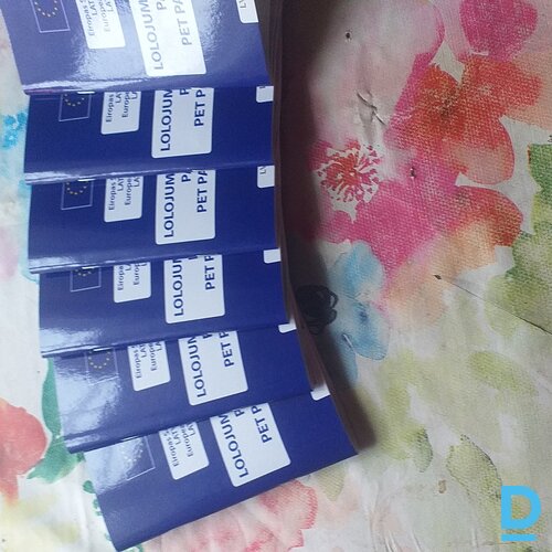 Atdod Bezšķirnes suns