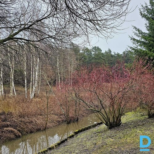 2 istabu dzīvoklis MežaCiems projektā ar balkonu