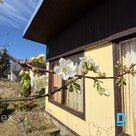 Summer house with garden.